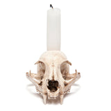 Replica Bobcat Skull Candle Holder